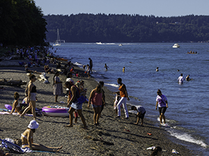 Photo of people enjoying Owen Beach at Tacoma's Point Defiance Park.
