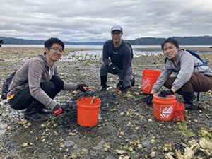 Photo of people gathering shellfish on a Puget Sound beach with orange Home Depot buckets.