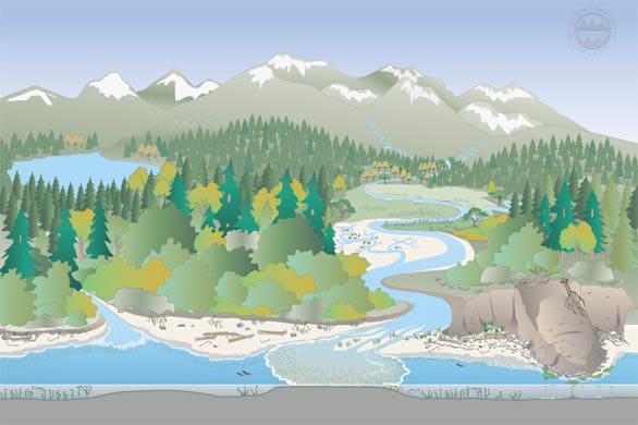 Graphic that shows an undeveloped shoreline, with a river flowing from the mountains, mature forests, and a beach with natural processes