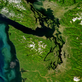 satellite view of the Salish Sea