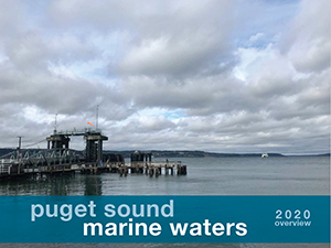 Cover image from the Puget Sound Marine Waters 2020 Overview