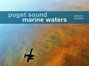 The cover photo from the Puget Sound Marine Waters 2021 Overview report, showing the silhouette of a seaplane flying over blue, green, and orange-colored Puget Sound water.