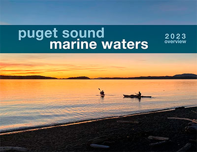 Cover image from the 2021 Puget Sound Marine Waters Overview, showing Puget Sound water with the silhouette of a plane flying overhead