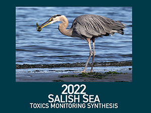The cover photo from the 2022 Salish Sea Toxics Monitoring Synthesis report, which shows a heron standing on a shoreline with a fish in its beak.