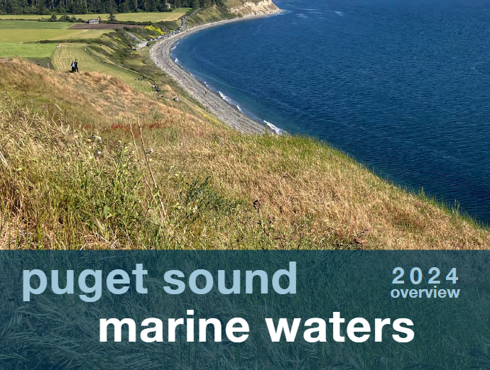 Cover image from the 2024 Puget Sound Marine Waters Overview, showing Puget Sound water framed a rocky beach and green hills